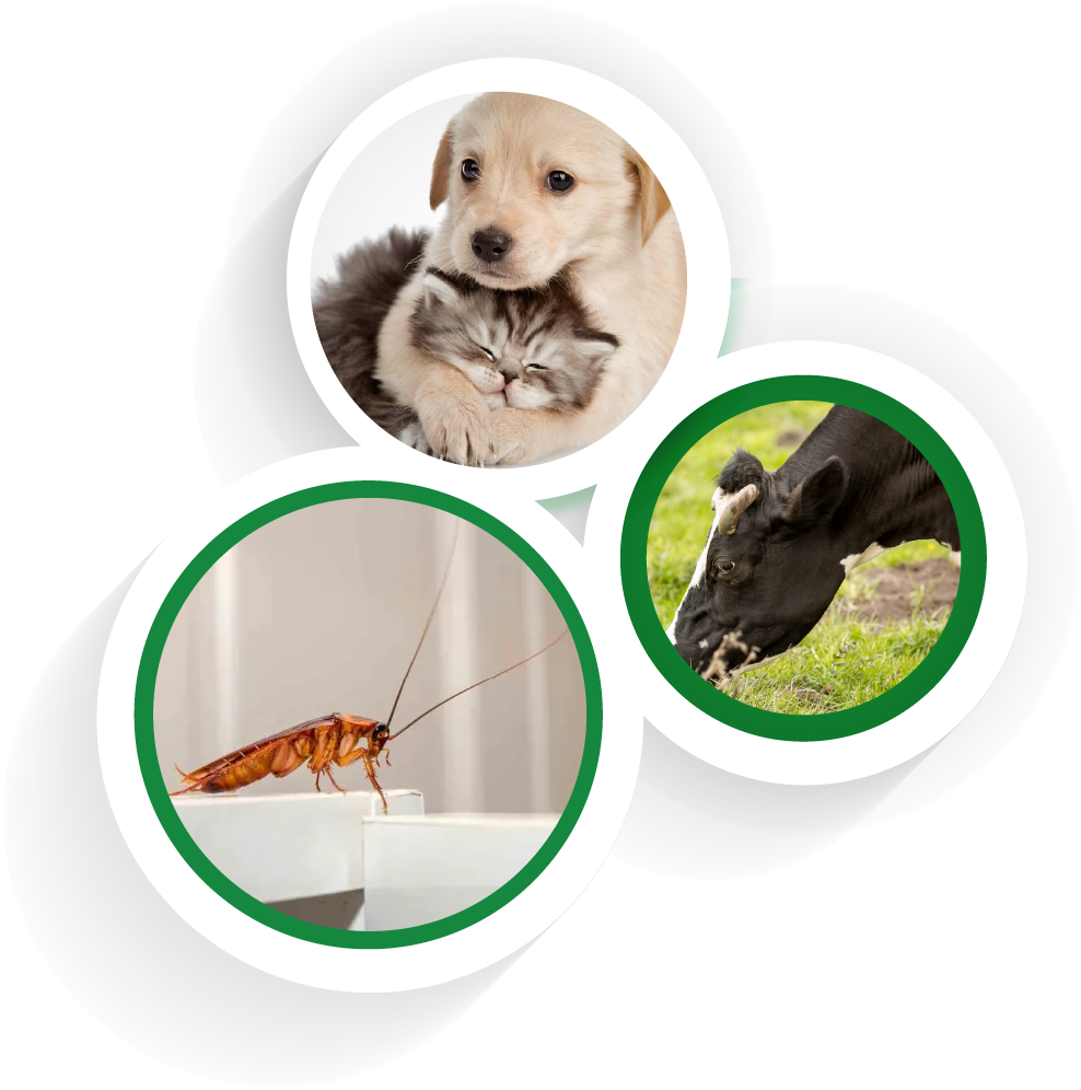 salud animal y ambiental vitsa